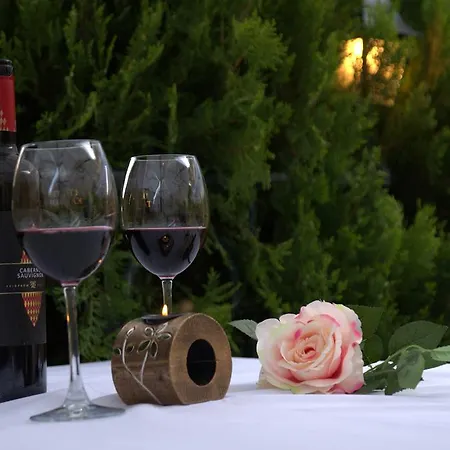 Хотел къща за гости сани